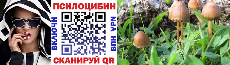 Галлюциногенные грибы прущие грибы  omg сайт  Пестово  darknet Telegram  дарнет шоп 